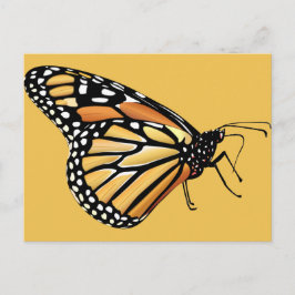Monarch Butterfly Postkarte