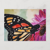 Monarch Butterfly Postkarte (Vorderseite)