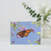 Monarch Butterfly Postkarte (Stehend Vorderseite)