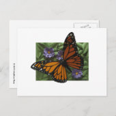 Monarch Butterfly Postkarte (Vorne/Hinten)
