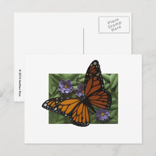 Monarch Butterfly Postkarte (Vorne/Hinten)
