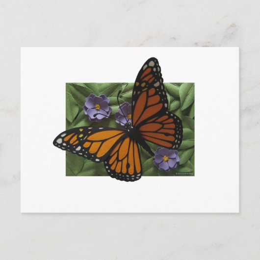 Monarch Butterfly Postkarte (Vorderseite)