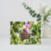 Monarch Butterfly Postkarte (Stehend Vorderseite)
