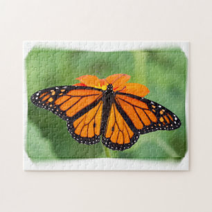 Monarch Butterfly Puzzle