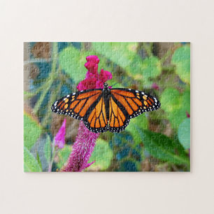 Monarch Butterfly Puzzle