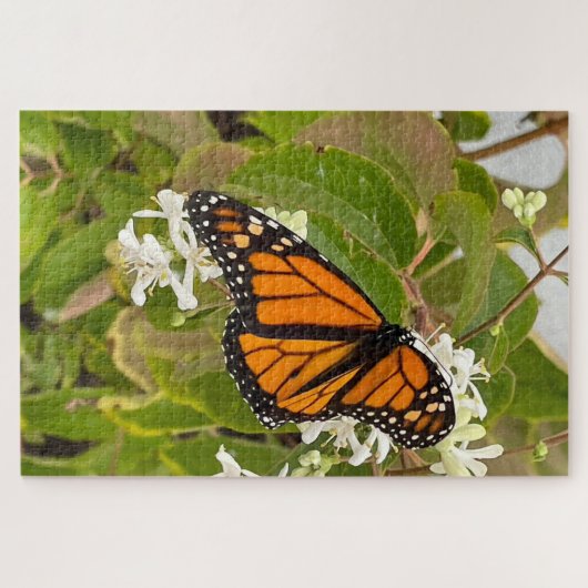 Monarch Butterfly Puzzle (Horizontal)