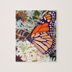 Monarch Butterfly Puzzle