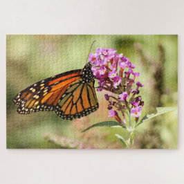 Monarch Butterfly Puzzle
