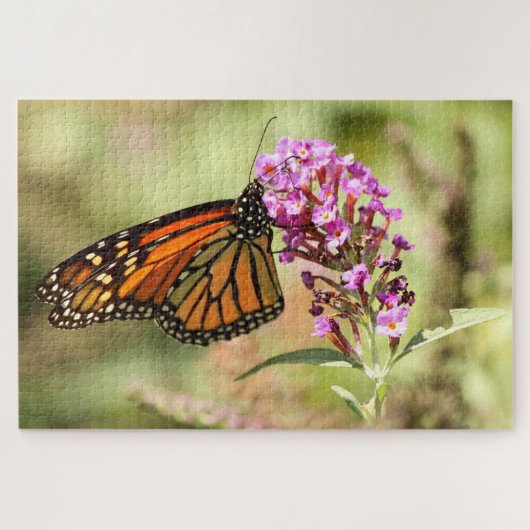 Monarch Butterfly Puzzle (Horizontal)