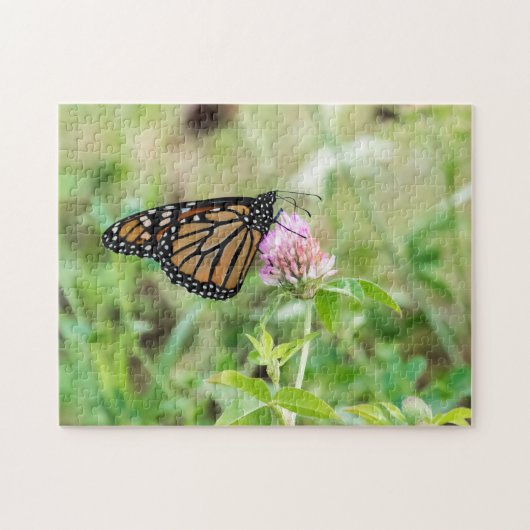 Monarch Butterfly Puzzle (Horizontal)