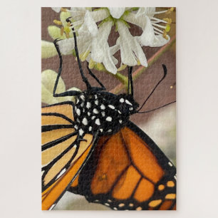 Monarch Butterfly Puzzle