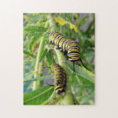 Monarch Butterfly Raupe Insekt Puzzle (Vertikal)