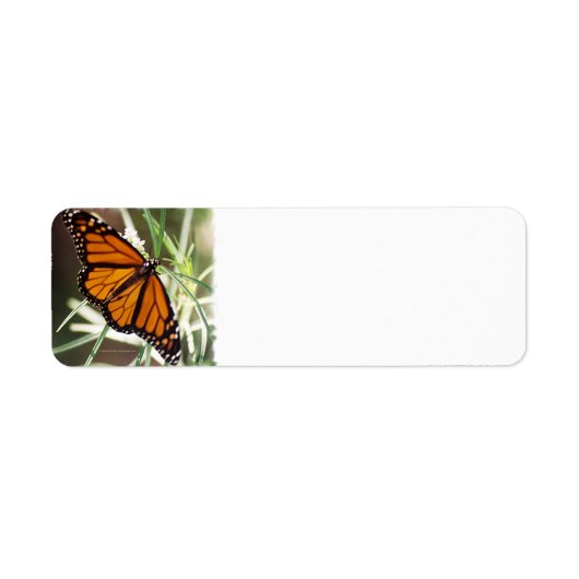 Monarch Butterfly-Rücksendeadressen-Aufkleber (Vorne)