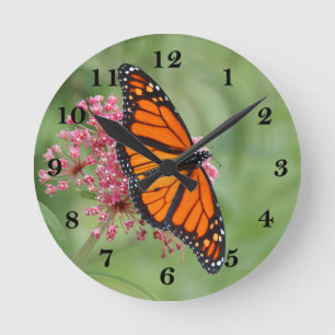 Monarch Butterfly Runde Wanduhr