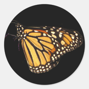 Monarch Butterfly Runder Aufkleber