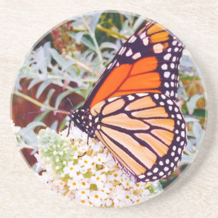 Monarch Butterfly Sandstein Untersetzer