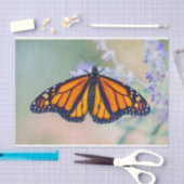 Monarch Butterfly Seidenpapier (Handwerk)