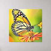 Monarch Butterfly Sip Design Leinwanddruck (Vorderseite)