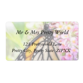 Monarch Butterfly Sipping Nectar