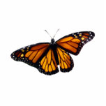Monarch Butterfly-Skulptur Freistehende Fotoskulptur<br><div class="desc">Eine schöne Ergänzung zu Ihrem Tisch oder Regal.Monarchen erinnern uns daran,  dass Gott bei uns und in der Kontrolle ist. Vertraue Gott!</div>