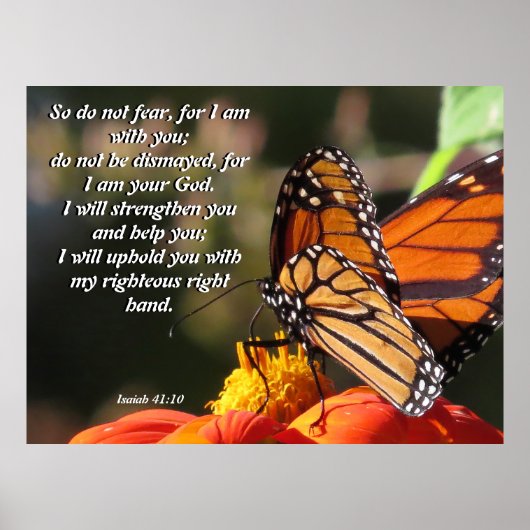 Monarch Butterfly Sonnenblume Blume Poster (Vorne)