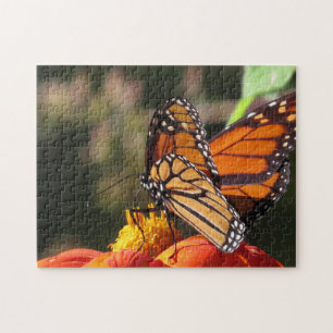 Monarch Butterfly Sonnenblume Blume Puzzle