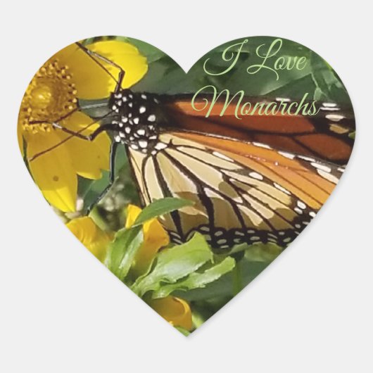 MONARCH BUTTERFLY - STICKER (Vorderseite)