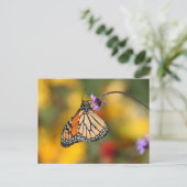 Monarch Butterfly Stops für Pollen Postkarte (Stehend Vorderseite)