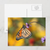 Monarch Butterfly Stops für Pollen Postkarte (Vorne/Hinten)