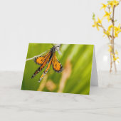 Monarch Butterfly Trocknen Flügel Grußkarte Karte (Gelbe Blume)