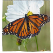 Monarch Butterfly über den Kosmos Duschvorhang (Vorderseite)