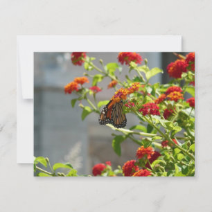 Monarch Butterfly über den Roten Schmetterling Bus