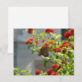 Monarch Butterfly über den Roten Schmetterling Bus (Vorne/Hinten)