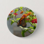 Monarch Butterfly über den Roten Schmetterling Bus Button (Vorderseite)