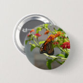 Monarch Butterfly über den Roten Schmetterling Bus Button (Vorne & Hinten)