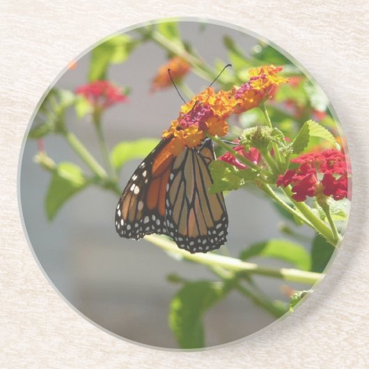 Monarch Butterfly über den Roten Schmetterling Bus Getränkeuntersetzer (Vorne)
