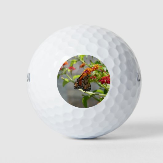 Monarch Butterfly über den Roten Schmetterling Bus Golfball (Vorderseite)