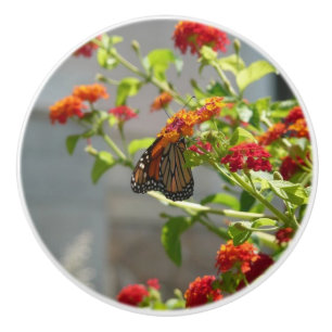 Monarch Butterfly über den Roten Schmetterling Bus Keramikknauf
