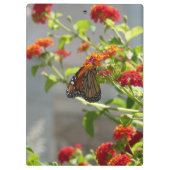 Monarch Butterfly über den Roten Schmetterling Bus Klemmbrett (Rückseite)