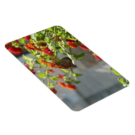 Monarch Butterfly über den Roten Schmetterling Bus Magnet (Rechte Seite)
