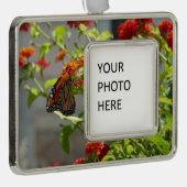 Monarch Butterfly über den Roten Schmetterling Bus Rahmen-Ornament Silber (Rechts)