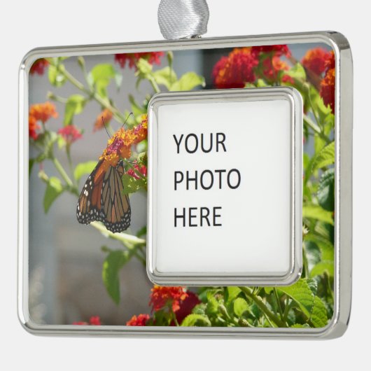 Monarch Butterfly über den Roten Schmetterling Bus Rahmen-Ornament Silber (Links)