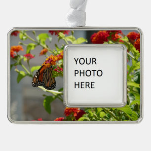 Monarch Butterfly über den Roten Schmetterling Bus Rahmen-Ornament Silber