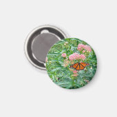 Monarch Butterfly über die Milkweed  Magnet (Vorderseite/Rückseite)