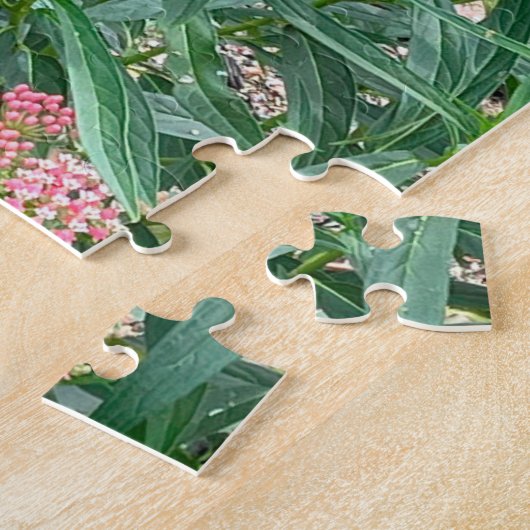 Monarch Butterfly über die Milkweed Puzzle (Seite)