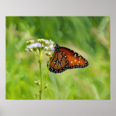 Monarch Butterfly über Wildblumen Wasserfarben Kun Poster (Vorne)