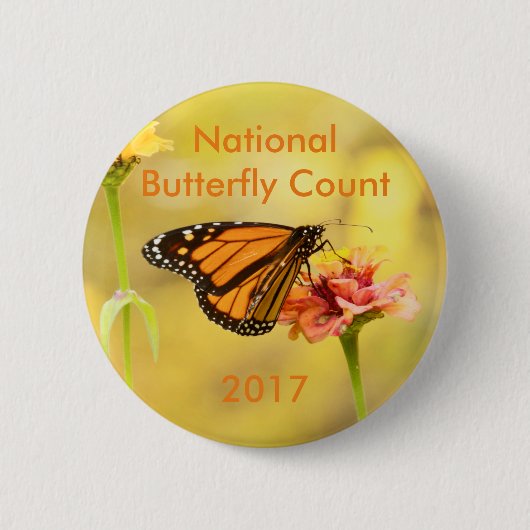 Monarch Butterfly über Zinnia Button (Vorderseite)
