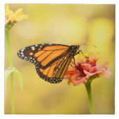 Monarch Butterfly über Zinnia Fliese (Vorderseite)