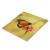 Monarch Butterfly über Zinnia Fliese (Seite)