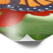 Monarch Butterfly über Zinnia Fotodruck (Ecke)